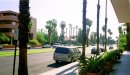 Palm Springs nur original mit Palmen